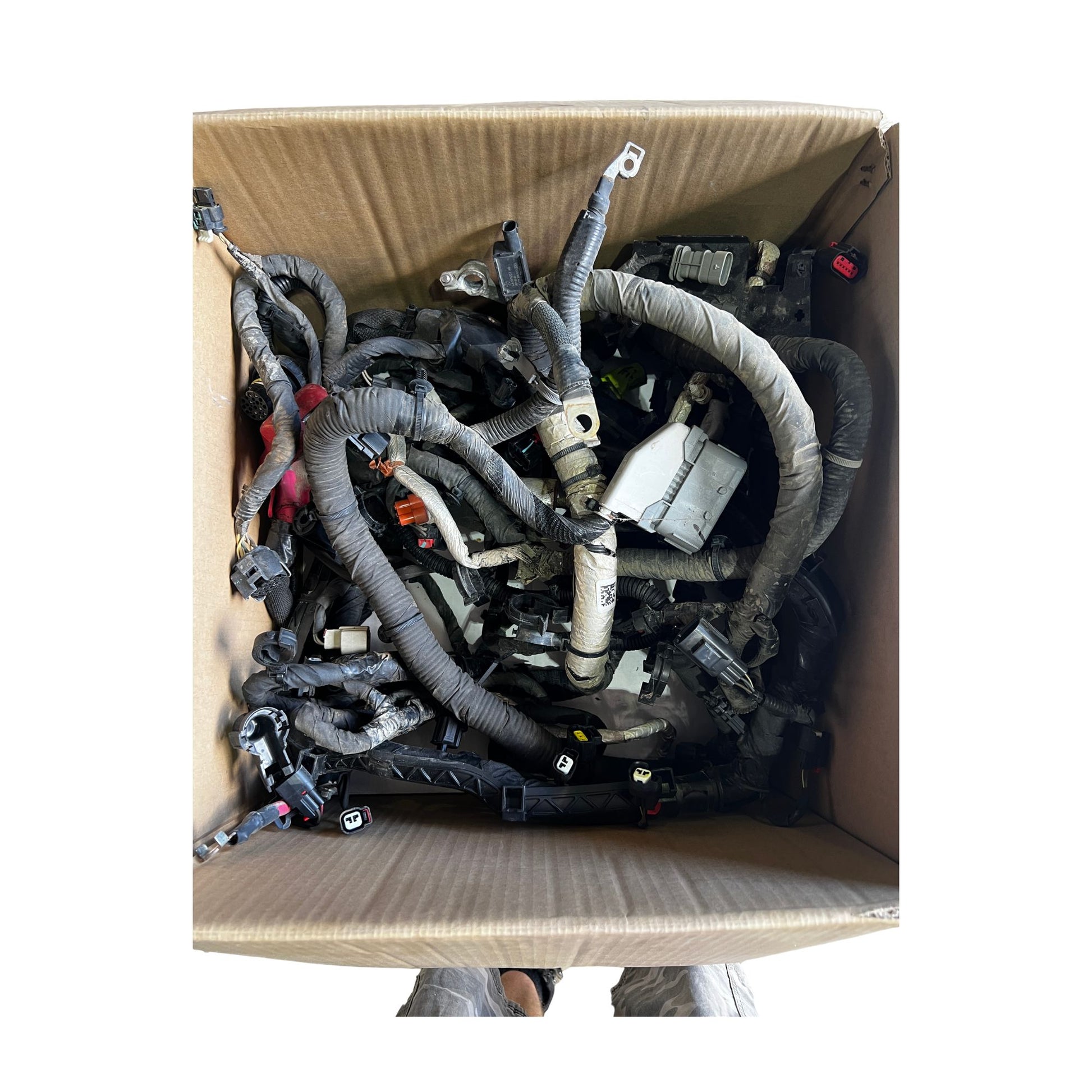 Engine harness 5.7L hemi Ram 1500